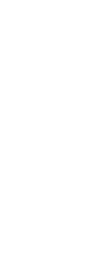 ラインナップ